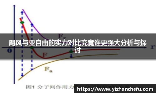 飓风与亚自由的实力对比究竟谁更强大分析与探讨
